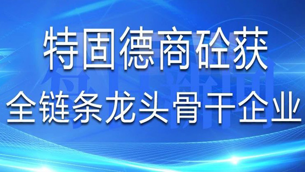 祝賀特固德商砼獲評山東省建筑業(yè)第一批“全鏈條龍頭骨干企業(yè)”